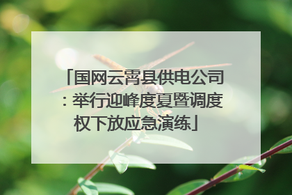 国网云霄县供电公司：举行迎峰度夏暨调度权下放应急演练